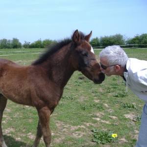 Photo de profil de Mouloudji Loulou Chapelain