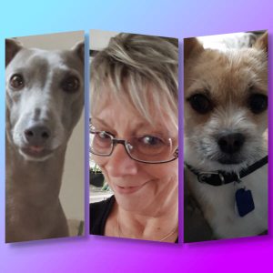 Photo de profil de Murièle Devaux