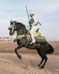 Photo de profil de Mustapha Hassouni