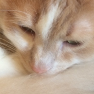 Photo de profil de Nadia Bouras