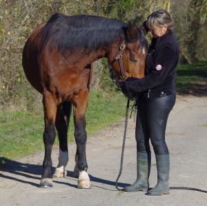 Photo de profil de Nataly Masson