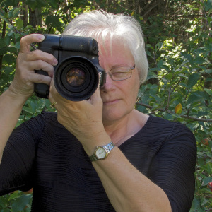 Photo de profil de Nicole Barge