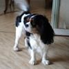 Photo de profil de Nicole Giraud