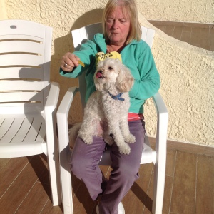 Photo de profil de Odette Milles