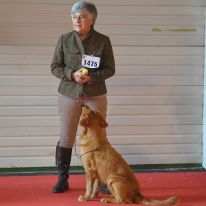 Photo de profil de Odile Guipont
