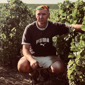 Photo de profil de Olivier Bochet