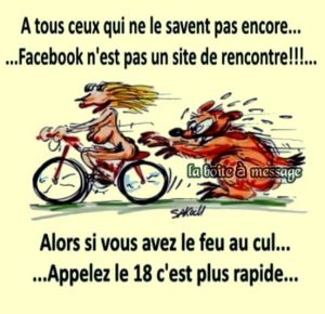 Photo de profil de Olivier Ferey