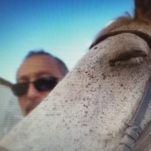 Photo de profil de Olivier Hong