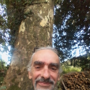 Photo de profil de Olivier Theunynck