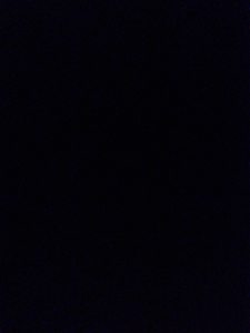 Photo de profil de Ophelia Varlet