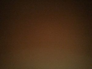 Photo de profil de Oulaya Zinidrissi