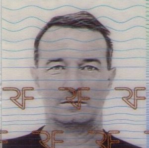 Photo de profil de Pascal Le Maut