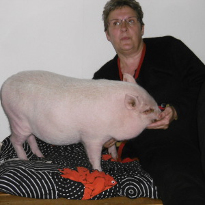 Photo de profil de Patricia Laforest
