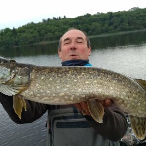Photo de profil de Patrick Materinsky