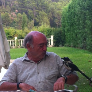 Photo de profil de Paul Di Rosa