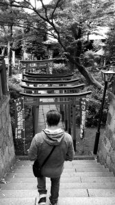 Photo de profil de Paul Martins