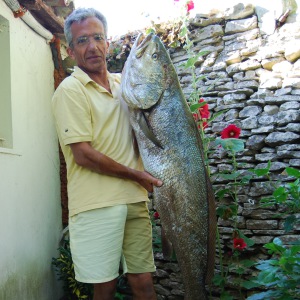 Photo de profil de Philippe Veillon