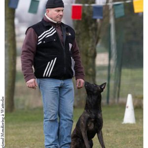 Photo de profil de Pierre Altmeyer