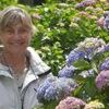 Photo de profil de Pierrette Dubuc