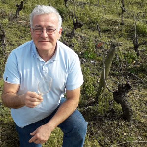 Photo de profil de Rémi Bataille