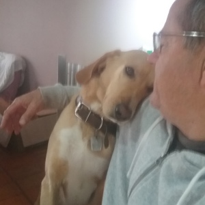 Photo de profil de Rémy Dalmau