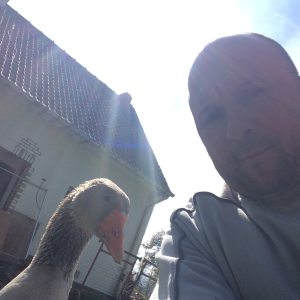 Photo de profil de Rene Poizot