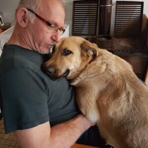 Photo de profil de Reynald Voste