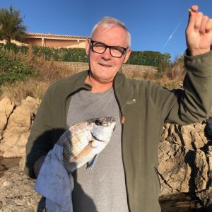 Photo de profil de Robert Pelletier