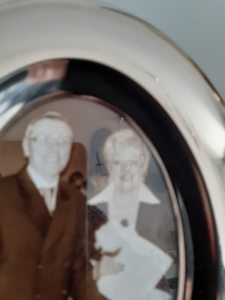 Photo de profil de Robert Seigneuret