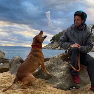 Photo de profil de Robin Dijeaux