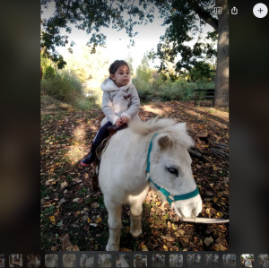 Photo de profil de Sabine Mahelle