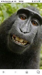 Photo de profil de Salem Ait Hammou