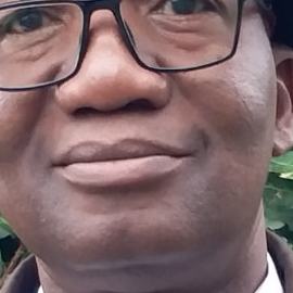 Photo de profil de Salif Foulani Sissoko