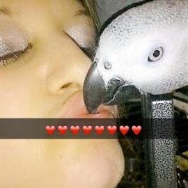 Photo de profil de Sandrine Guillotte