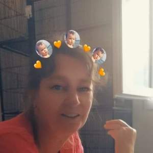 Photo de profil de Sandrine Landelle