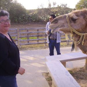 Photo de profil de Sandy Thepot