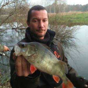 Photo de profil de Sebastien Girard