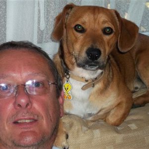 Photo de profil de Serge Dubois