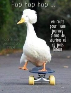 Photo de profil de Severine Guillet