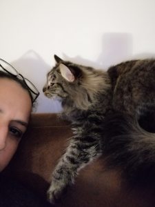 Photo de profil de Shérazade Benderrouich