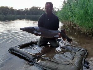 Photo de profil de Steeve Jarry
