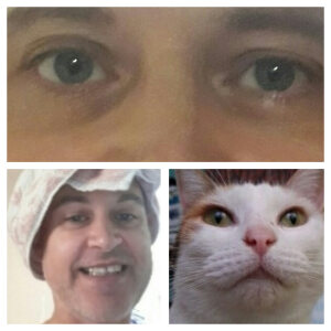 Photo de profil de Sylvain Ribeyrot