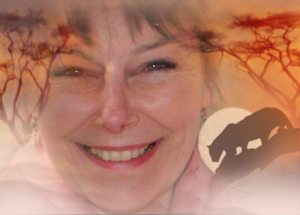 Photo de profil de Sylvaine Roux