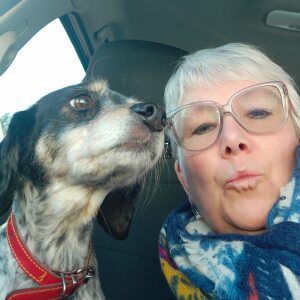 Photo de profil de Sylvie Blache