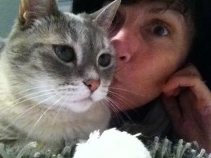 Photo de profil de Sylvie Lambot