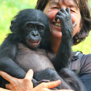 Photo de profil de Sylvie Marsais