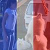 Photo de profil de Sylvie Martin