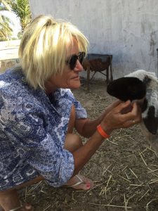Photo de profil de Sylvie Saffre