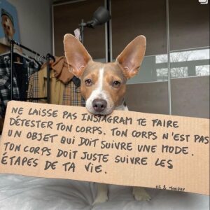 Photo de profil de Théode Chéri-Zécoté