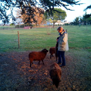 Photo de profil de Therese Douat